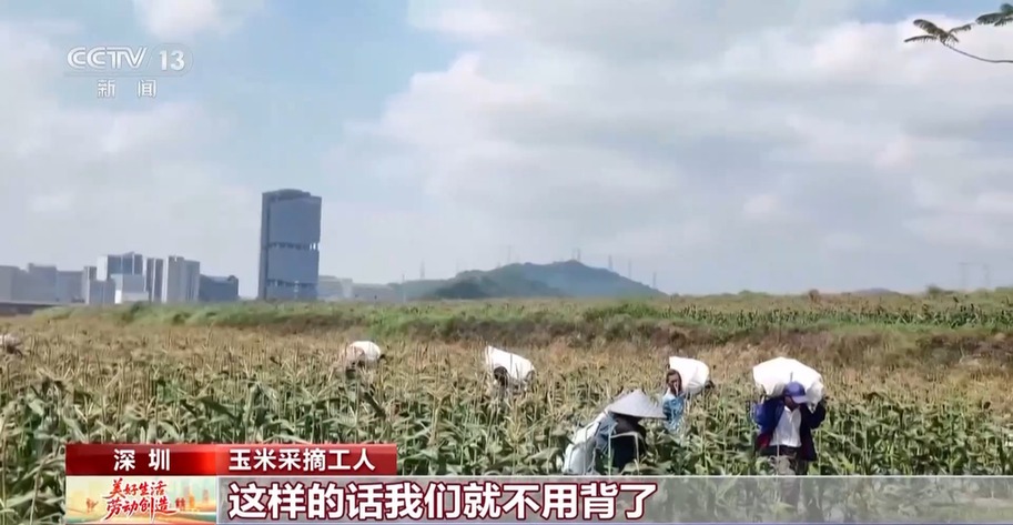 力大又聪明 “新农人”的新拍档上线了