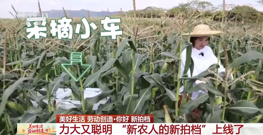 力大又聪明 “新农人”的新拍档上线了